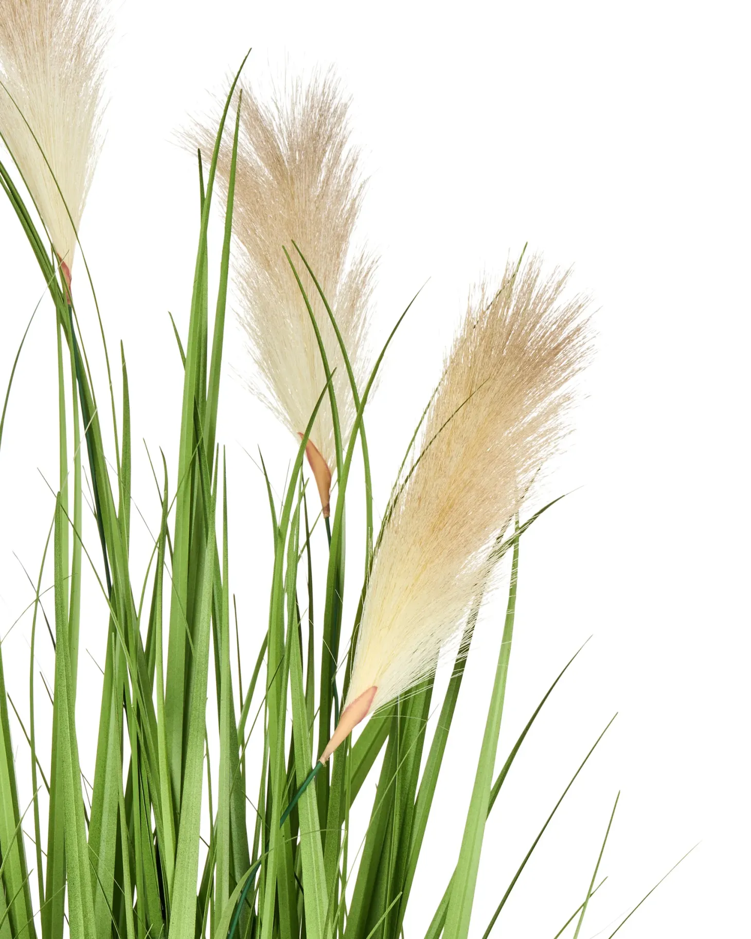 Sztuczna roślina PAMPAS GRASS 130 cm Zielony