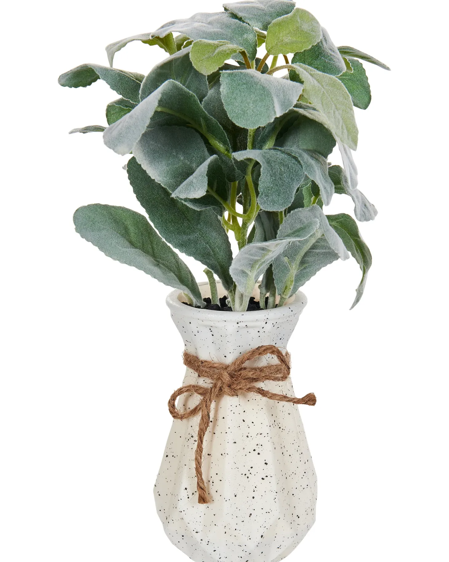 Sztuczna roślina PEPEROMIA ARGYREIA 30 cm Zielony