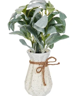Sztuczna roślina PEPEROMIA ARGYREIA 30 cm Zielony
