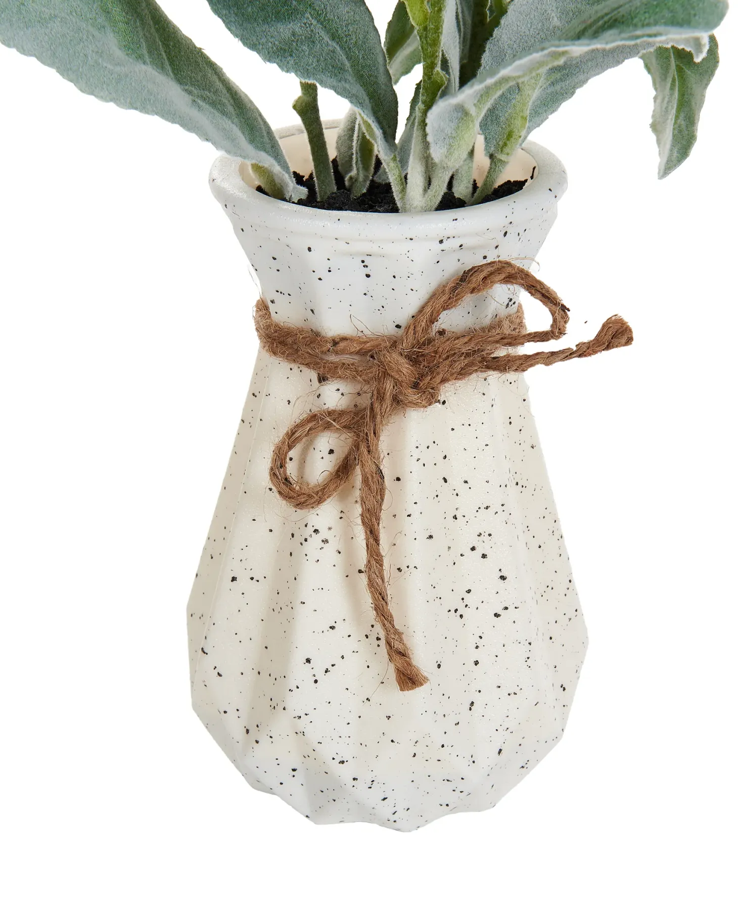 Sztuczna roślina PEPEROMIA ARGYREIA 30 cm Zielony