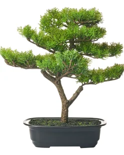 Sztuczna roślina PINE 37 cm Zielony