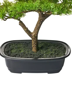 Sztuczna roślina PINE 37 cm Zielony