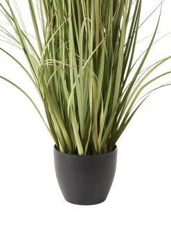 Sztuczna roślina POMPOM GRASS 120 cm Zielony