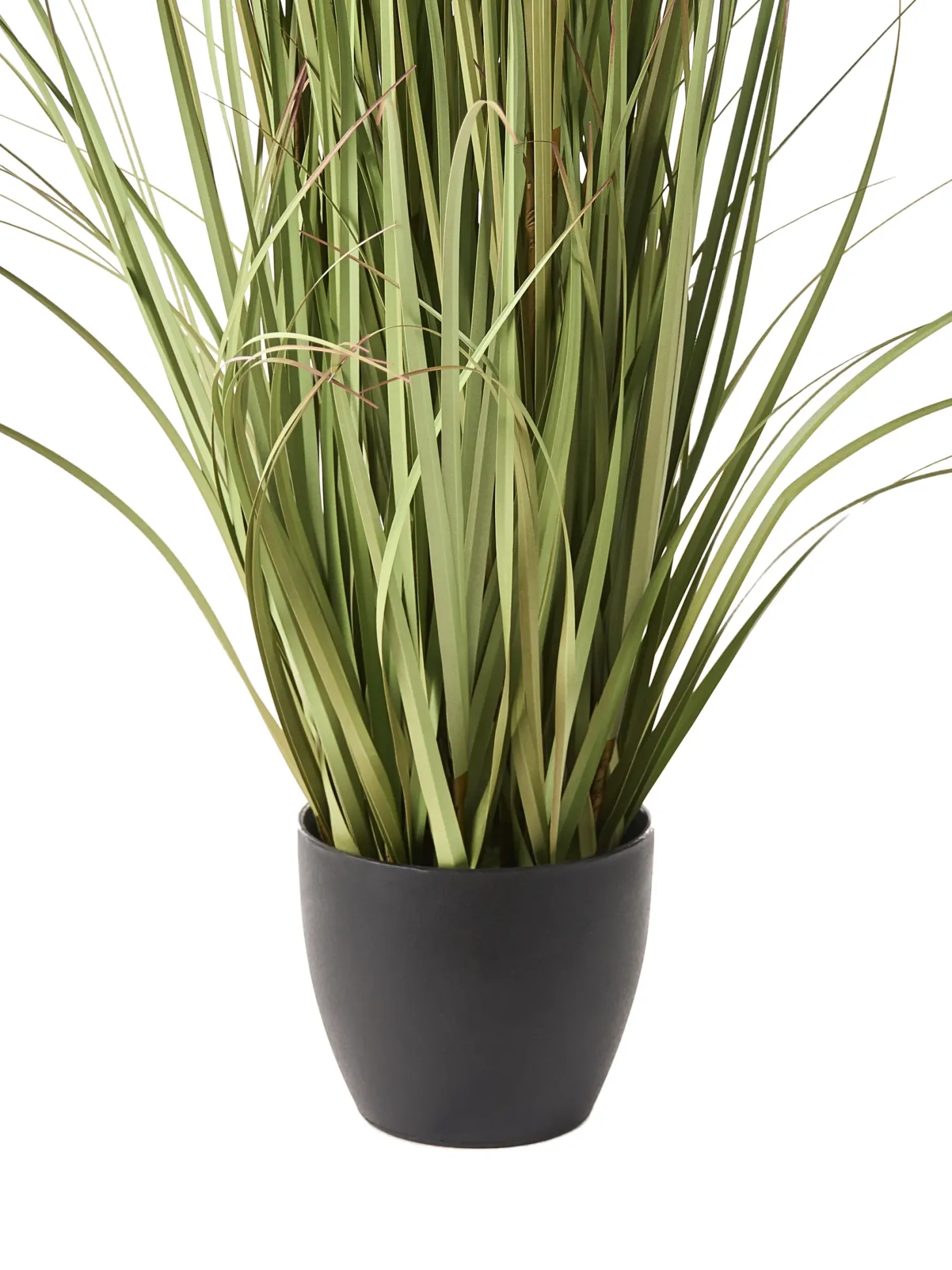 Sztuczna roślina POMPOM GRASS 120 cm Zielony