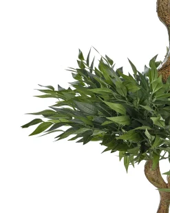 Sztuczna roślina RUSCUS TREE 166 cm Zielony