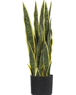 Sztuczna roślina SNAKE PLANT 63 cm Zielony