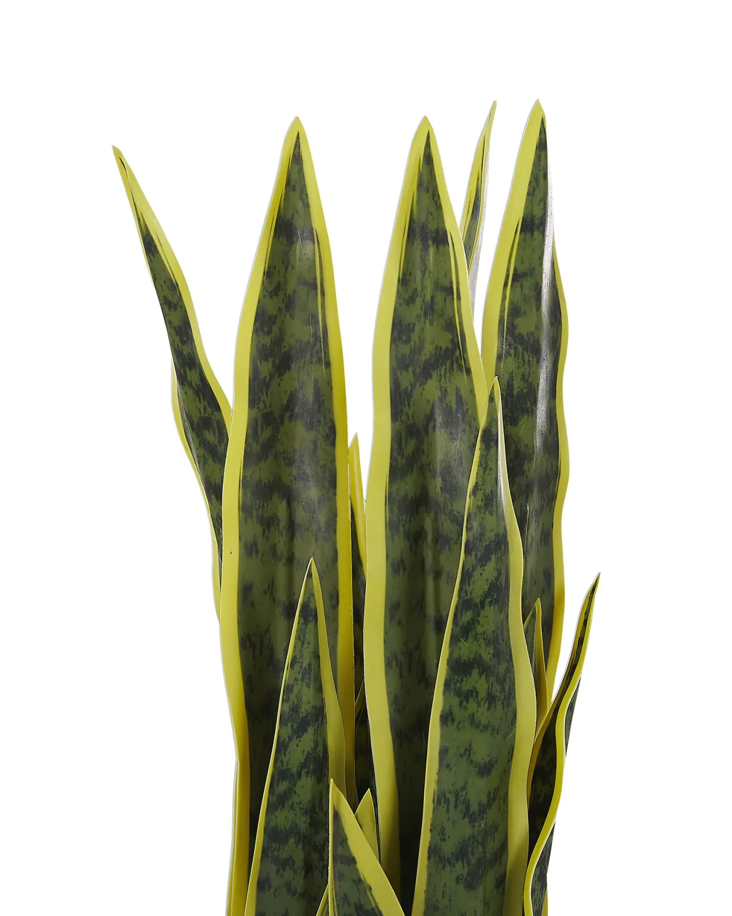 Sztuczna roślina SNAKE PLANT 63 cm Zielony