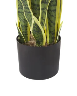 Sztuczna roślina SNAKE PLANT 63 cm Zielony