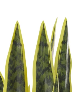 Sztuczna roślina SNAKE PLANT 63 cm Zielony