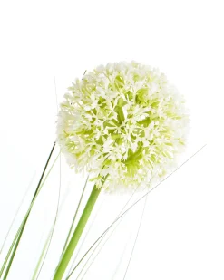 Sztuczna roślina SNOWBALL BUSH 125 cm Zielony