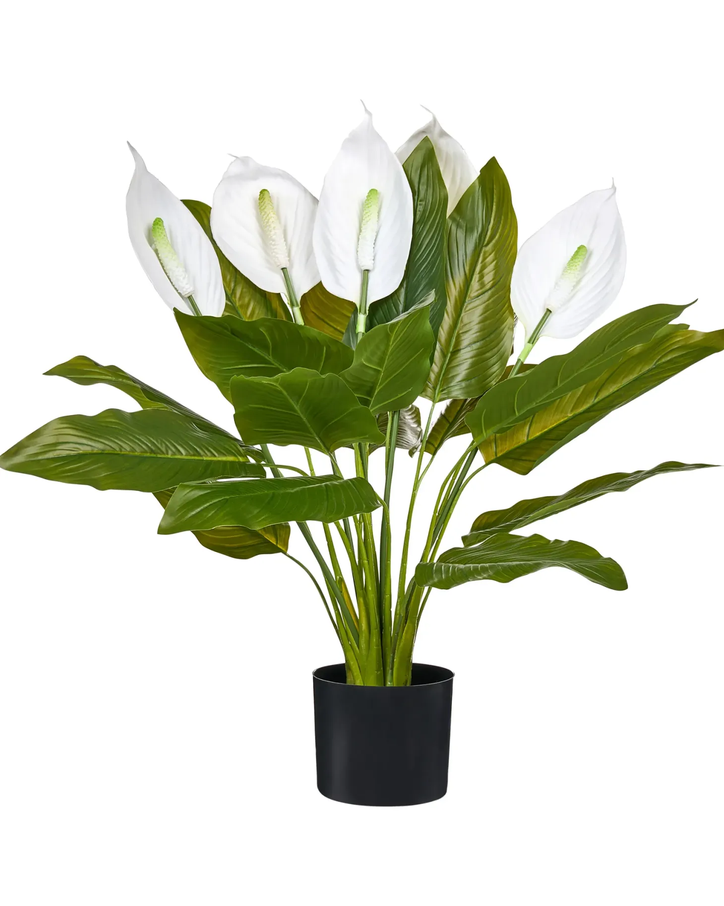 Sztuczna roślina SPATHPHYLLUM 70 cm Zielony