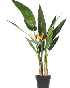 Sztuczna roślina STRELITZIA TREE 115 cm Zielony