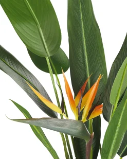 Sztuczna roślina STRELITZIA TREE 115 cm Zielony