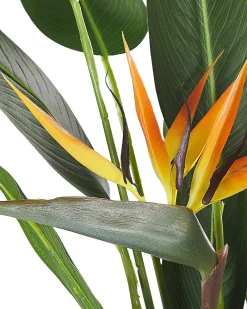 Sztuczna roślina STRELITZIA TREE 115 cm Zielony