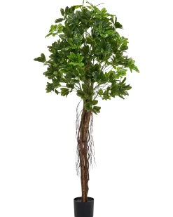 Sztuczna roślina UMBRELLA TREE 175 cm Zielony