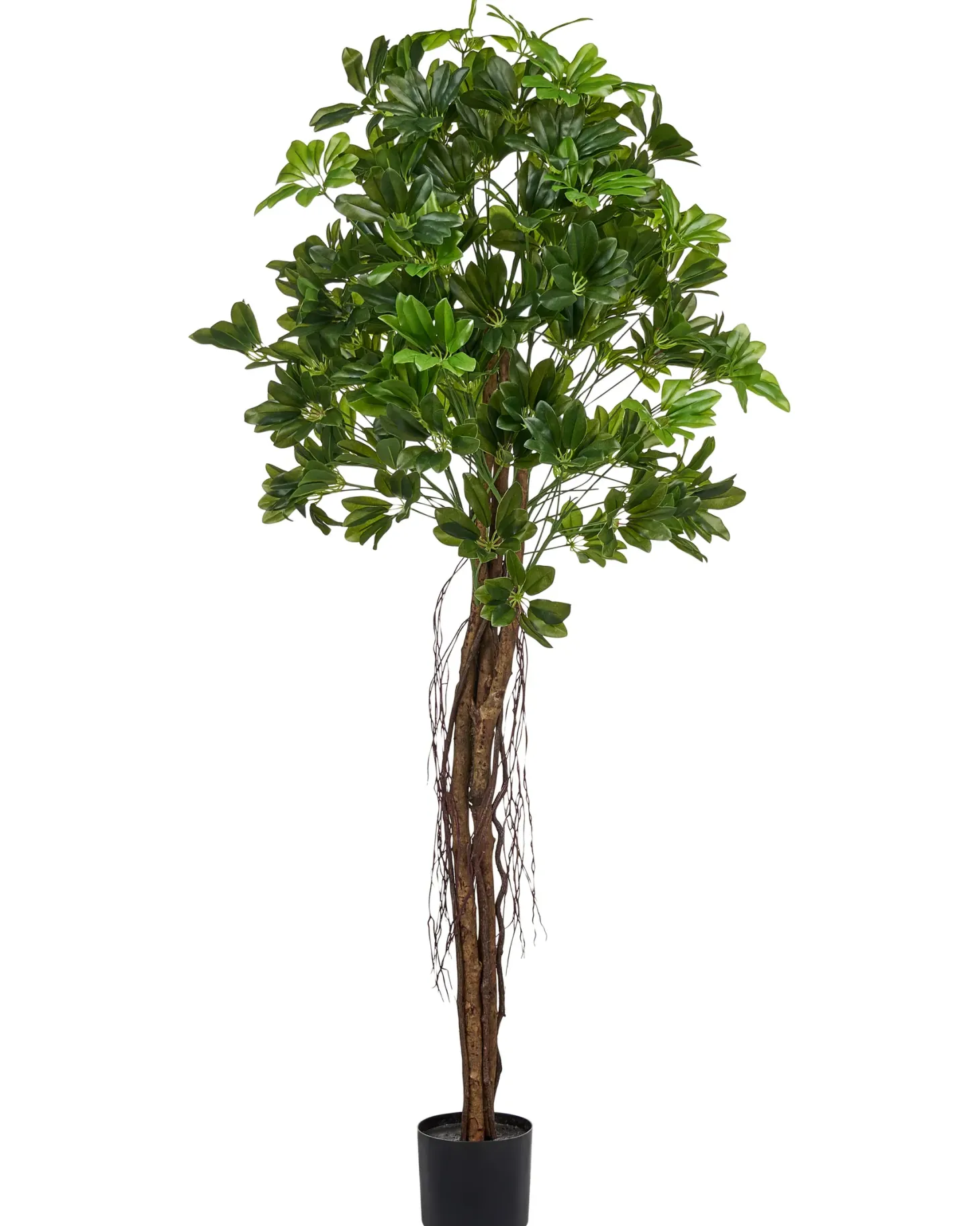Sztuczna roślina UMBRELLA TREE 175 cm Zielony