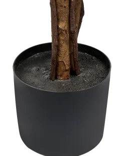 Sztuczna roślina UMBRELLA TREE 175 cm Zielony