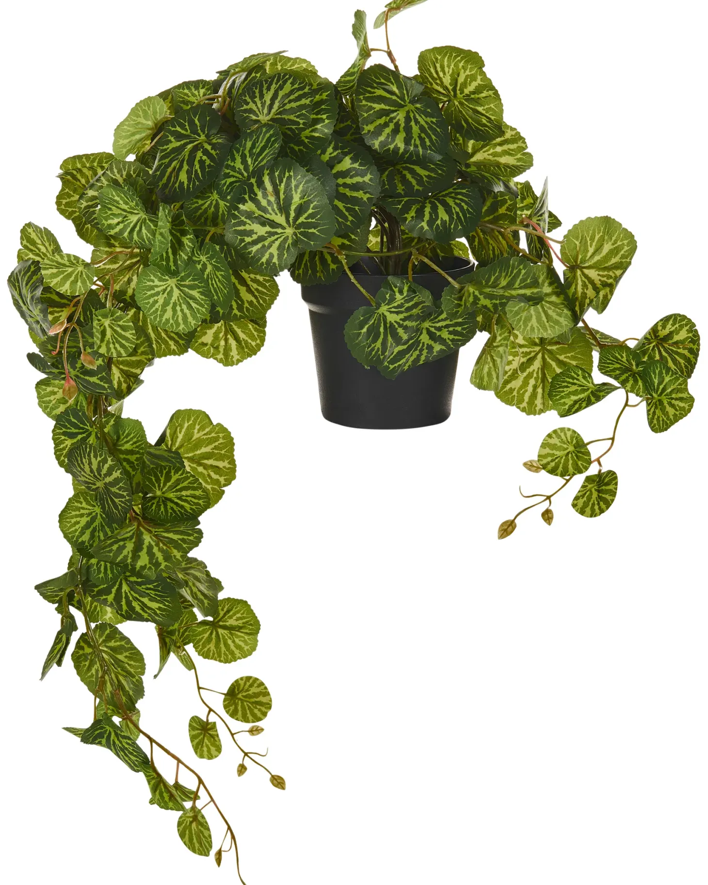 Sztuczna roślina wisząca STRAWBERRY BEGONIA 37 cm Zielony