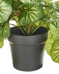 Sztuczna roślina wisząca STRAWBERRY BEGONIA 37 cm Zielony