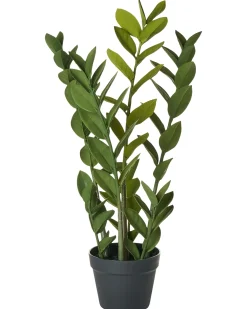 Sztuczna roślina ZAMIIFOLIA 76 cm Zielony