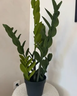 Sztuczna roślina ZAMIIFOLIA 76 cm Zielony