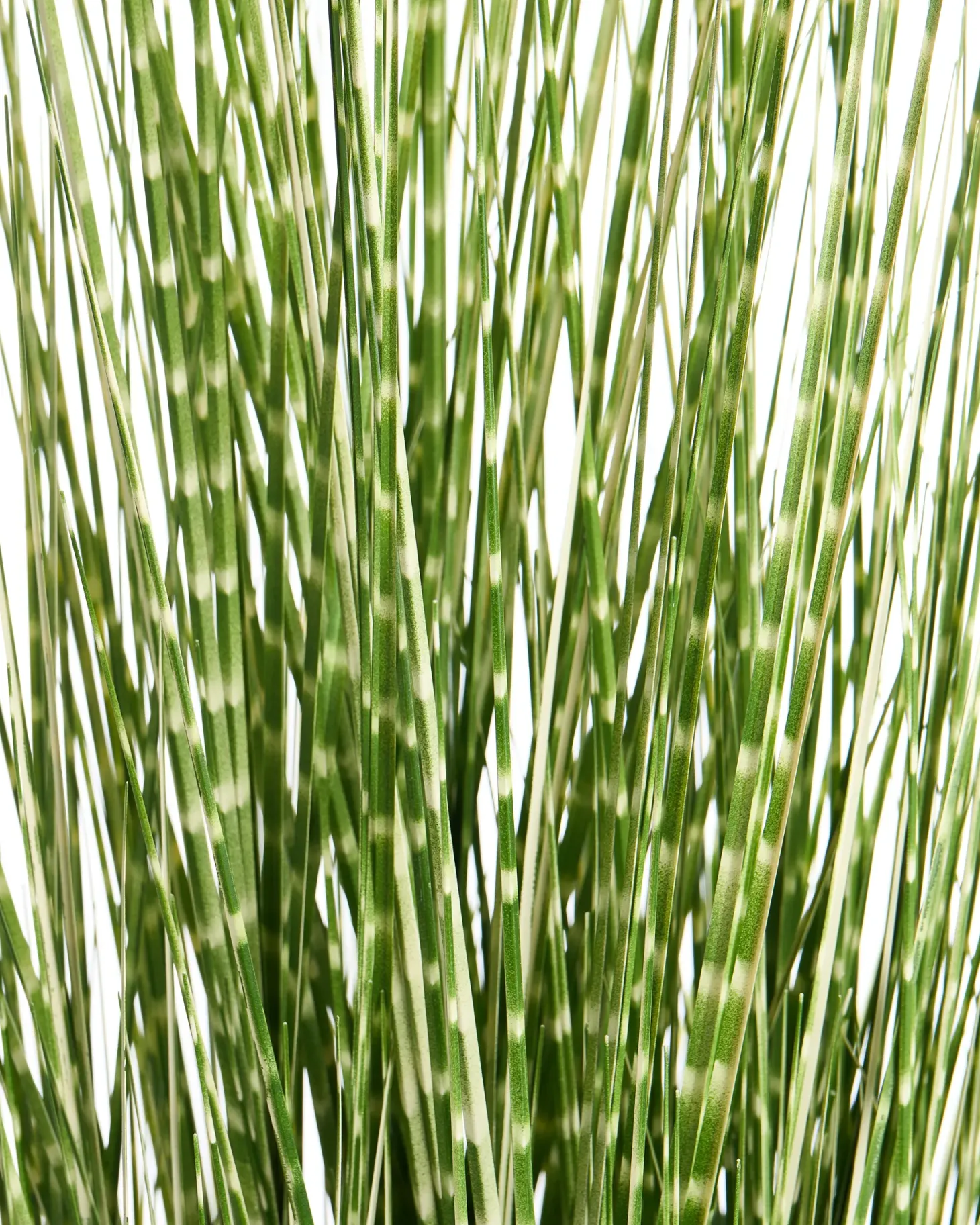 Sztuczna roślina ZEBRA GRASS 120 cm Zielony
