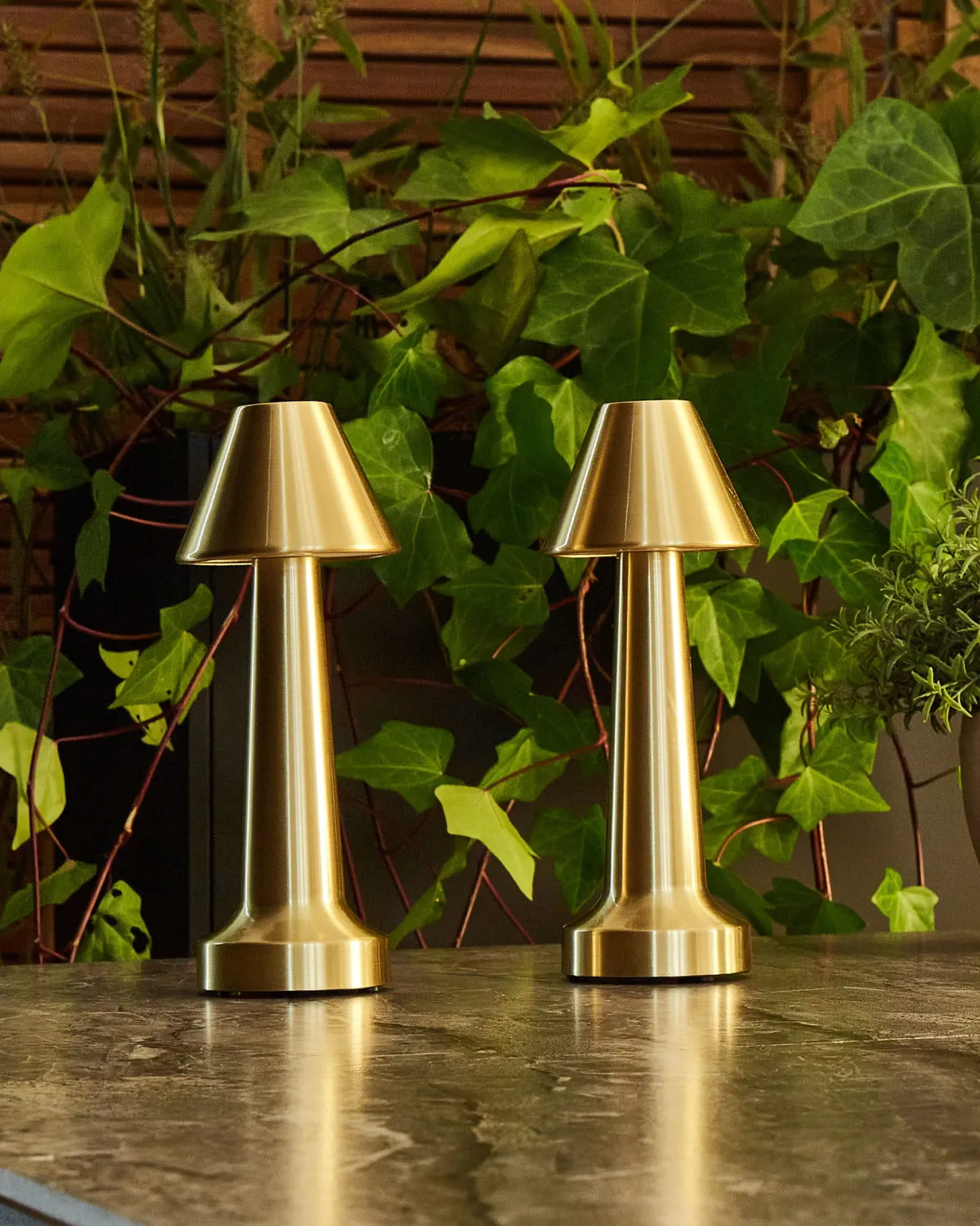 Zestaw 2 bezprzewodowych lamp stołowych LED JOANES Ze ściemniaczem Metal Złoty