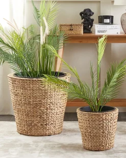 Zestaw 3 donic PLAKA 29/37/49 cm Naturalny Hiacynt wodny