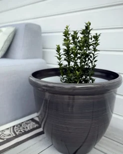 Zestaw 2 donic TESALIA 44 cm Brązowy