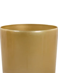 Zestaw 2 donic TSERIA 32 cm Złoty