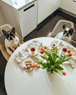 Zestaw 4 filiżanek ze spodkami ELDERBERRY Porcelana Biały