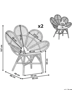 Zestaw 2 foteli paw FLORENTINE Rattan Naturalny