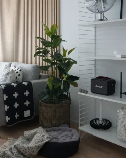 Zestaw 2 koszy na kwiaty BITOLA 40/48 cm Brązowy Technorattan