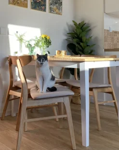 Outlet Zestaw 2 krzeseł do jadalni LYNN Drewno Jasny brąz/ beżowy Wszystkie Krzesła|Krzesła Drewniane