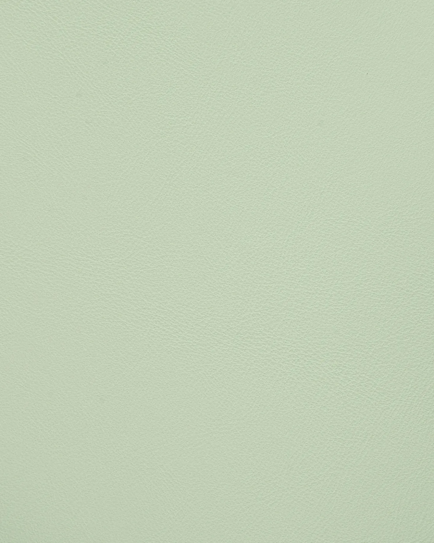 Online Zestaw 4 krzeseł do jadalni MORILL Jasno Wszystkie Krzesła|Krzesła Plastikowe