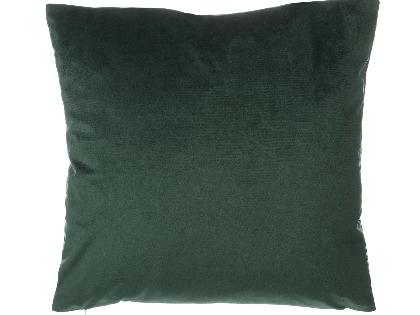 Zestaw 2 poduszek dekoracyjnych FREESIA Welur 45 x 45 cm Ciemnozielony Wzór roślinny