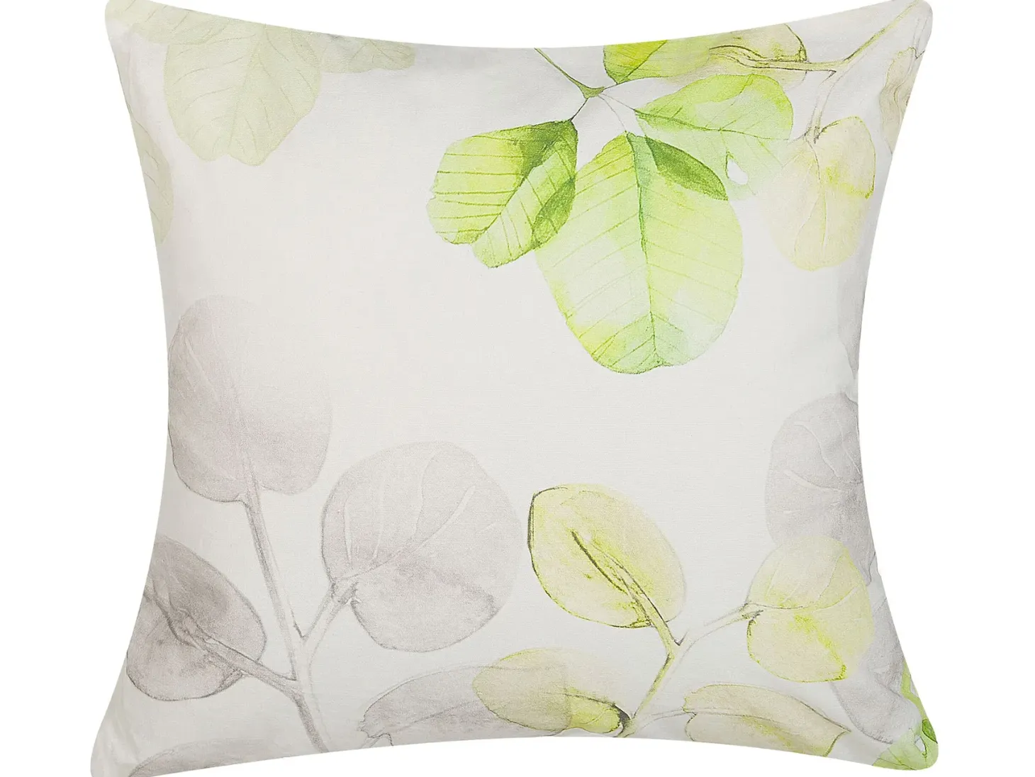 Zestaw 2 poduszek dekoracyjnych PEPEROMIA Bawełna 45 x 45 cm Biały Wzór roślinny