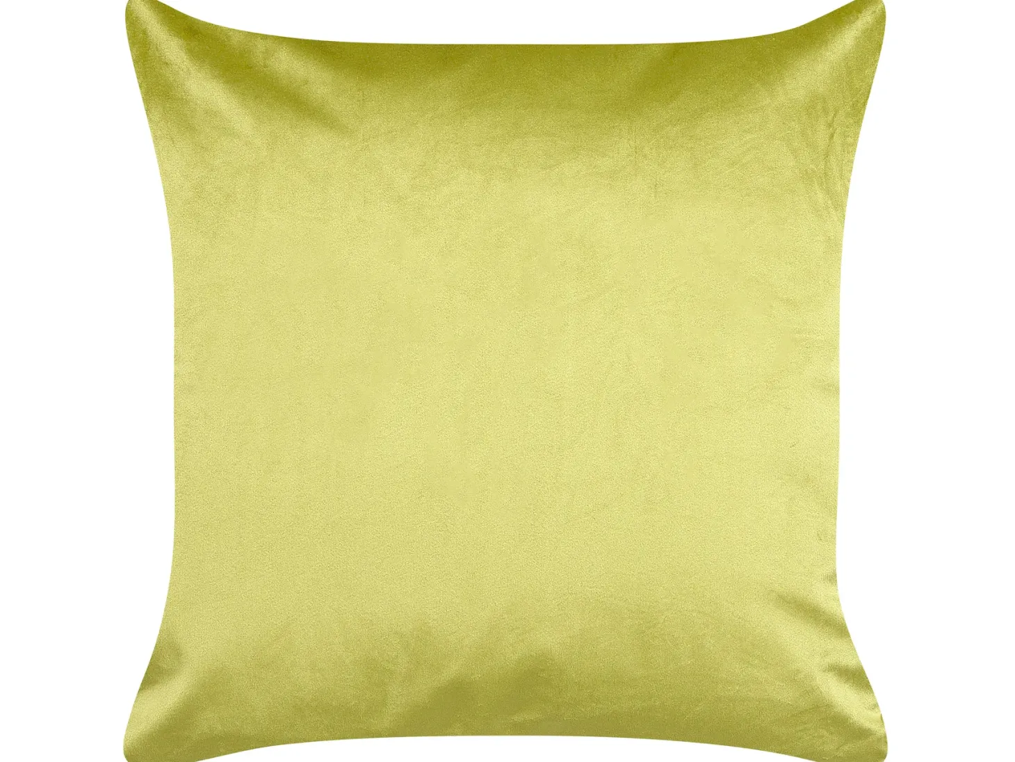 Zestaw 2 poduszek dekoracyjnych DELICIOSA Welur 45 x 45 cm Jasnozielony Wzór roślinny