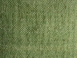 Zestaw 2 poduszek dekoracyjnych ANISOPTERA Bawełna 30 x 50 cm 45 x 45 cm Zielony Jednolity