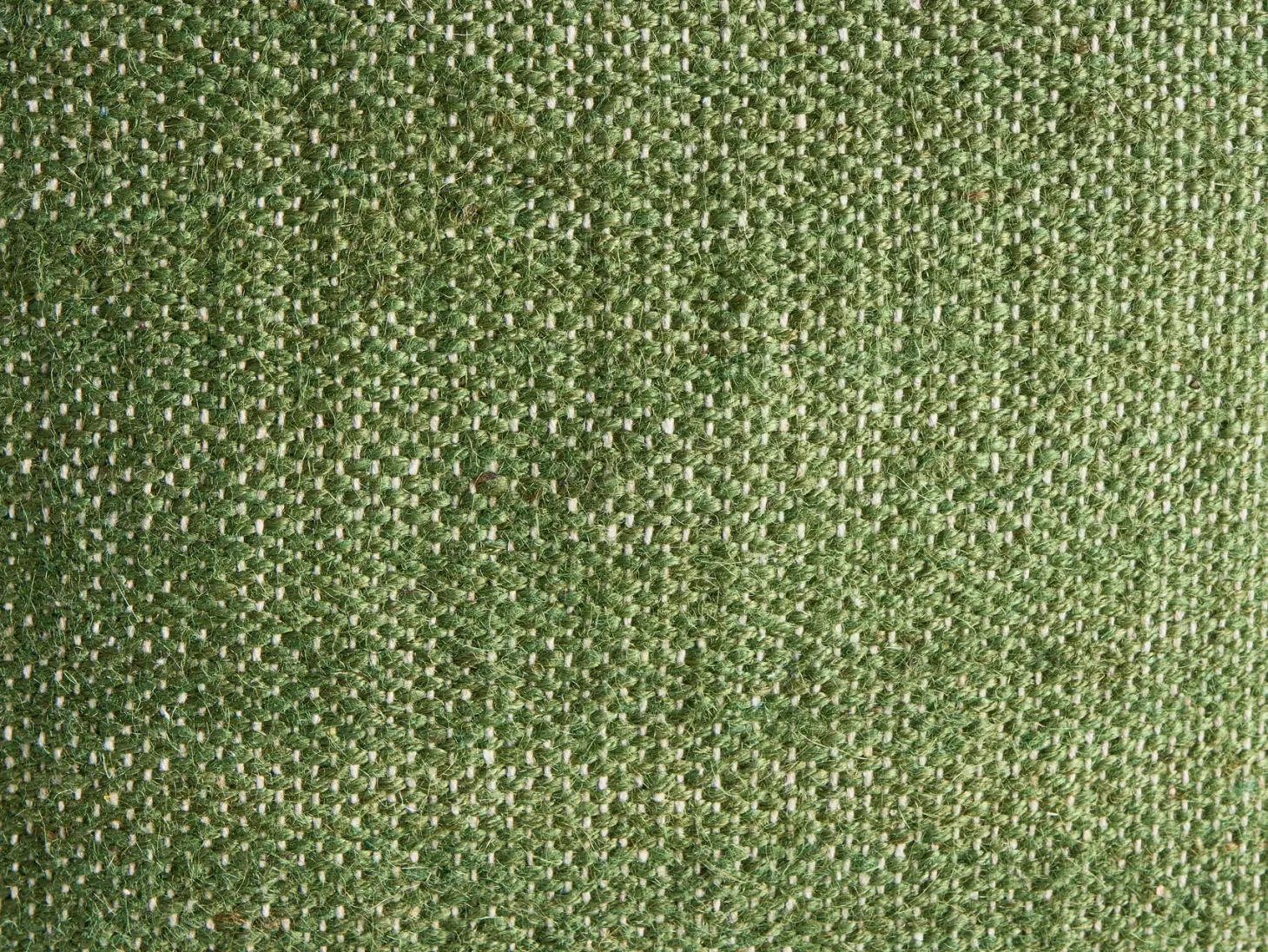 Zestaw 2 poduszek dekoracyjnych ANISOPTERA Bawełna 30 x 50 cm 45 x 45 cm Zielony Jednolity
