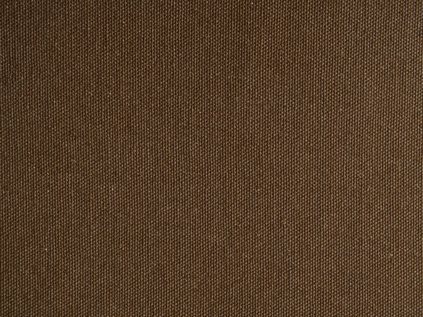 Zestaw 2 poduszek dekoracyjnych KNEMA Bawełna 45 x 45 cm Biały Wzór kwiatowy