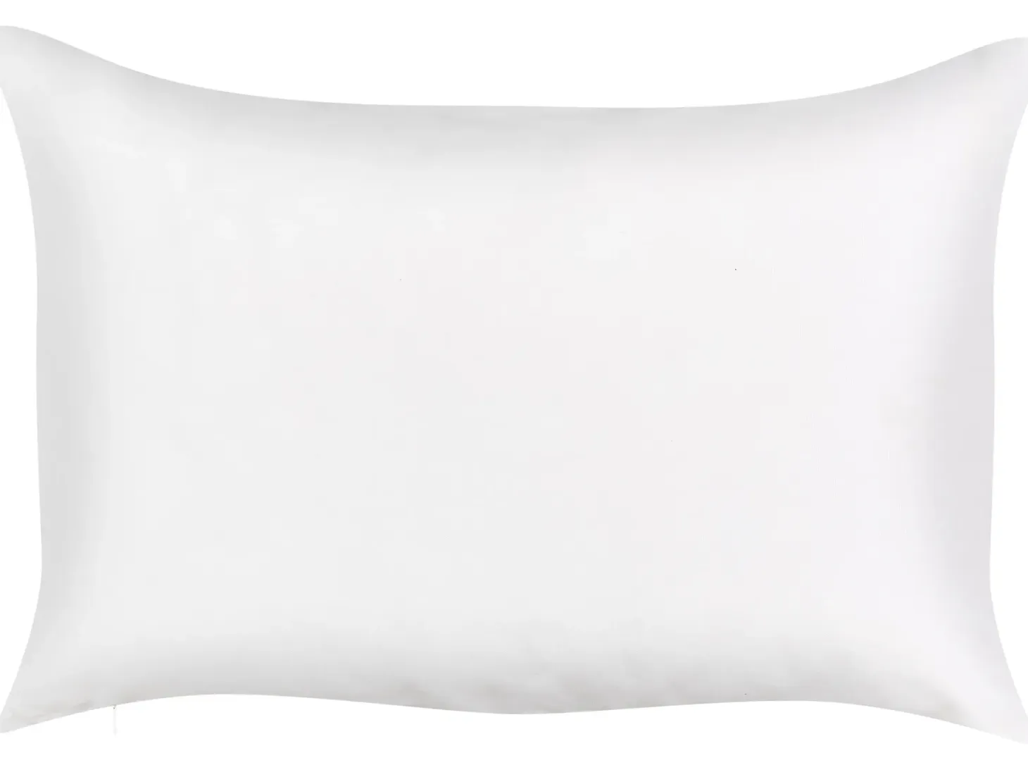 Zestaw 2 poduszek ogrodowych TORBORA Wzór roślinny 40 x 60 cm Biały Niebieski