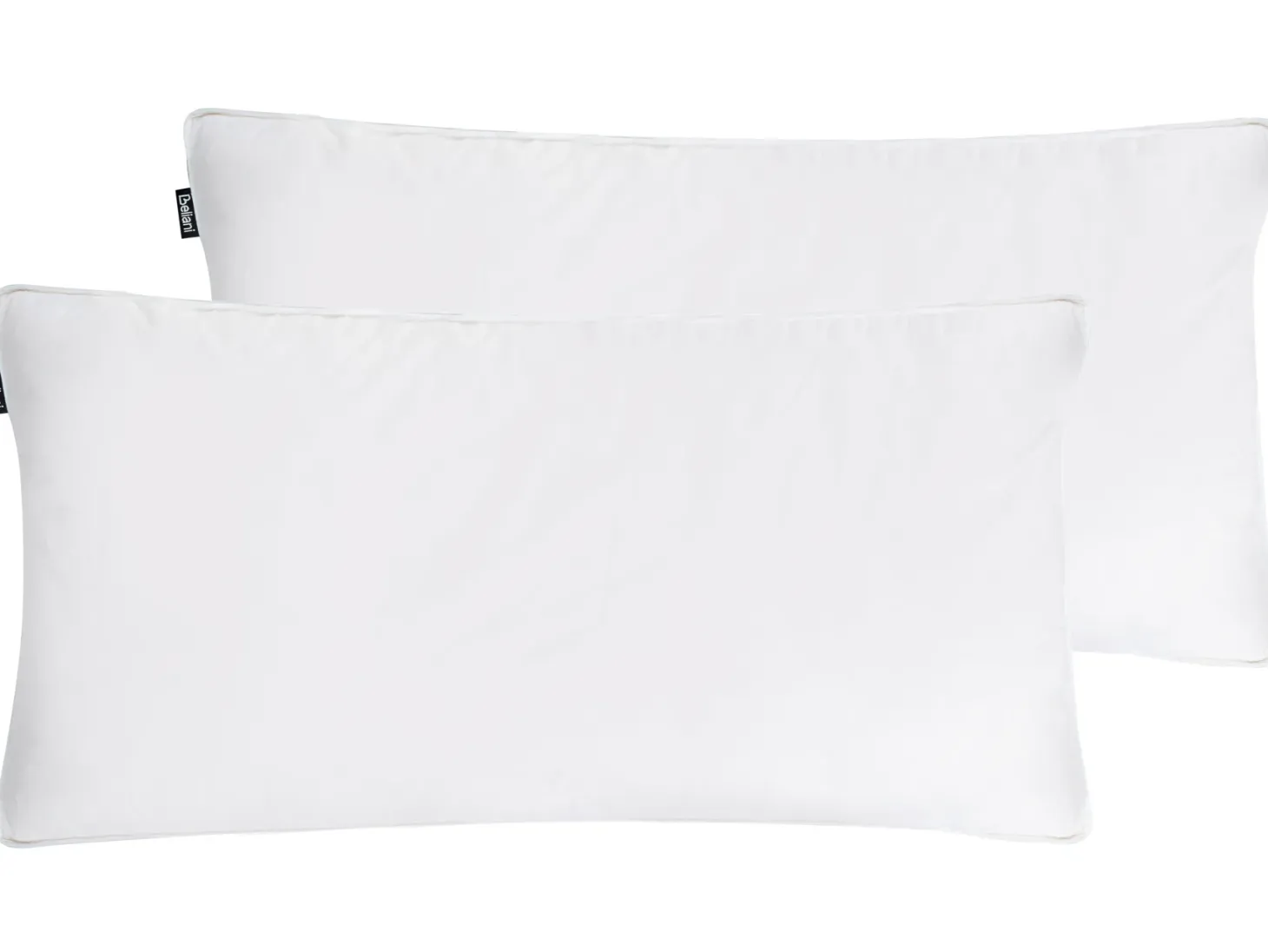 Zestaw 2 poduszek VIHREN Niska Kacze pióra i puch 40 x 80 cm Biały